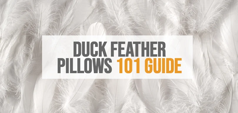 Duck Feather Pillows 101 All You Need To Know