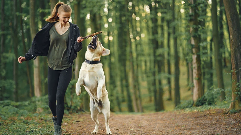 an image of a woman playing with a dog