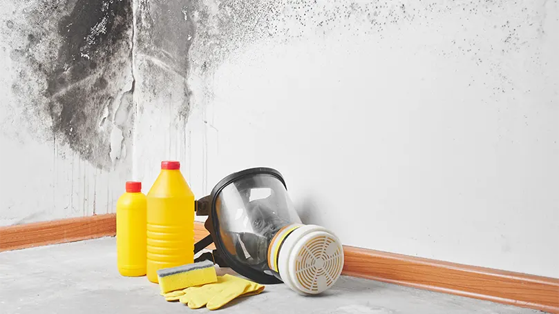 An image of a mould in corner of room with cleaning agents.