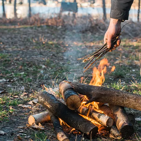 A fire burning outdoors in the wood